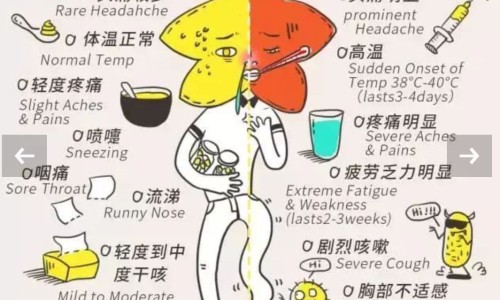 【男人支原体阳性是怎么得的】男性支原体症状 - 男人支原体有什么症状有哪些症状图片网